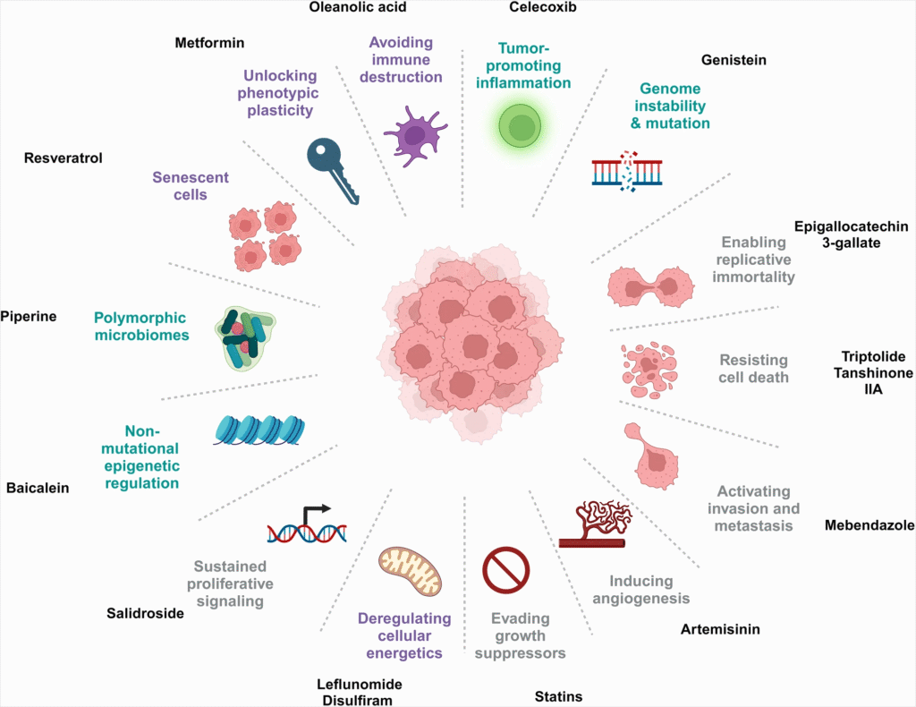 role of metabolism in cancer