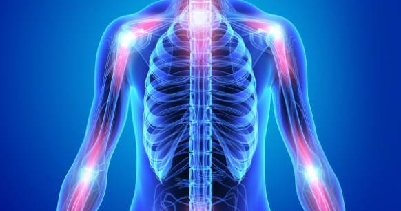chronic inflammation impact on cellular ageing